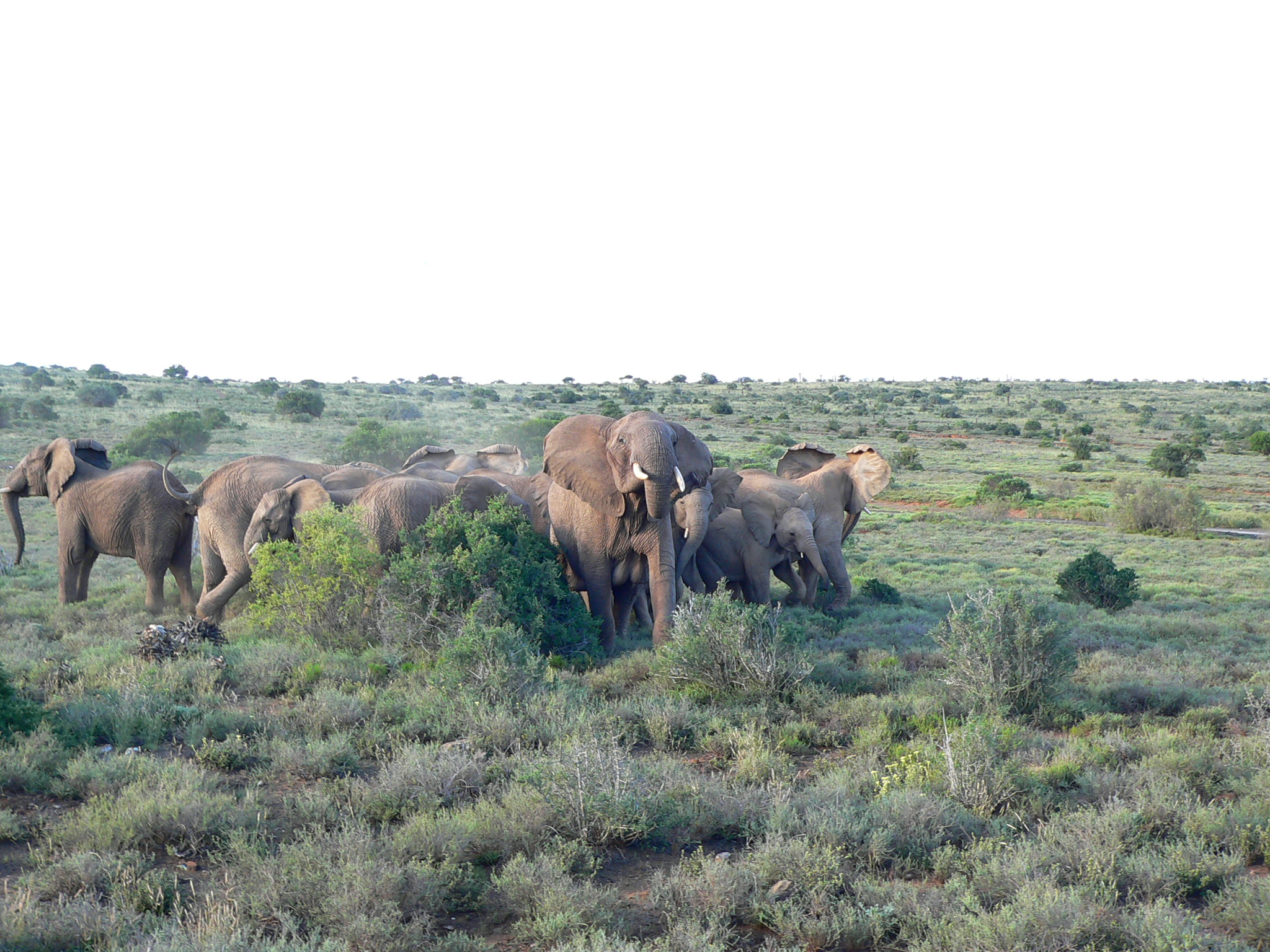 Our Exciting Tours